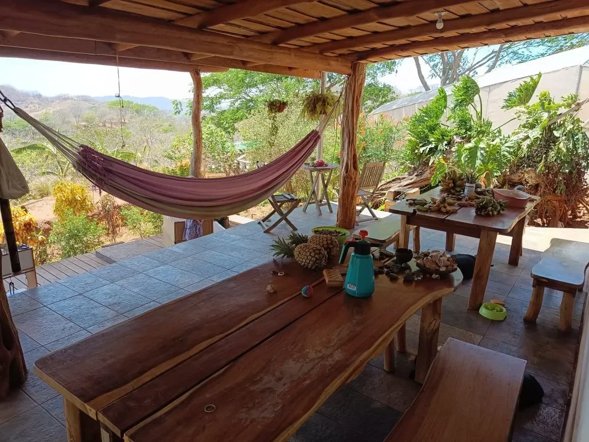 Finca Curcuma: Organic ocean view house built on a 2 hectares finca in San José de la Montaña photo 40