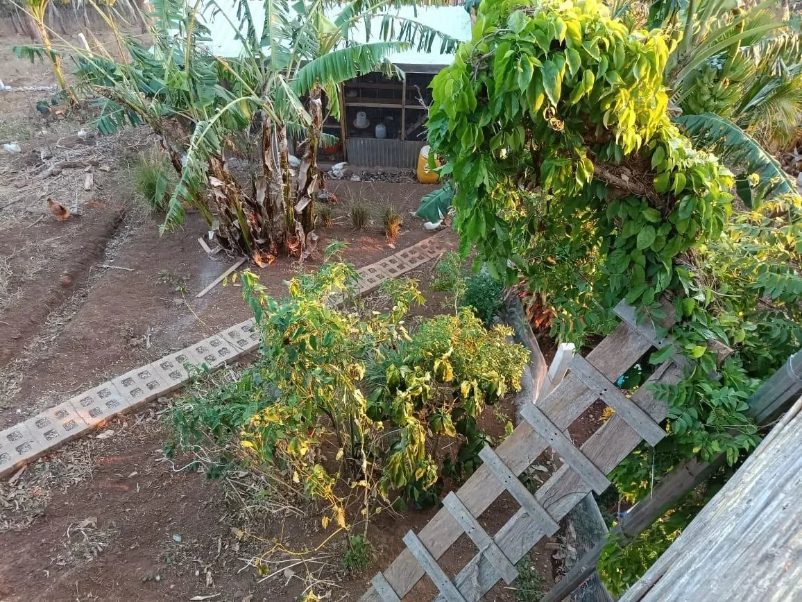 Finca Curcuma: Organic ocean view house built on a 2 hectares finca in San José de la Montaña photo 47