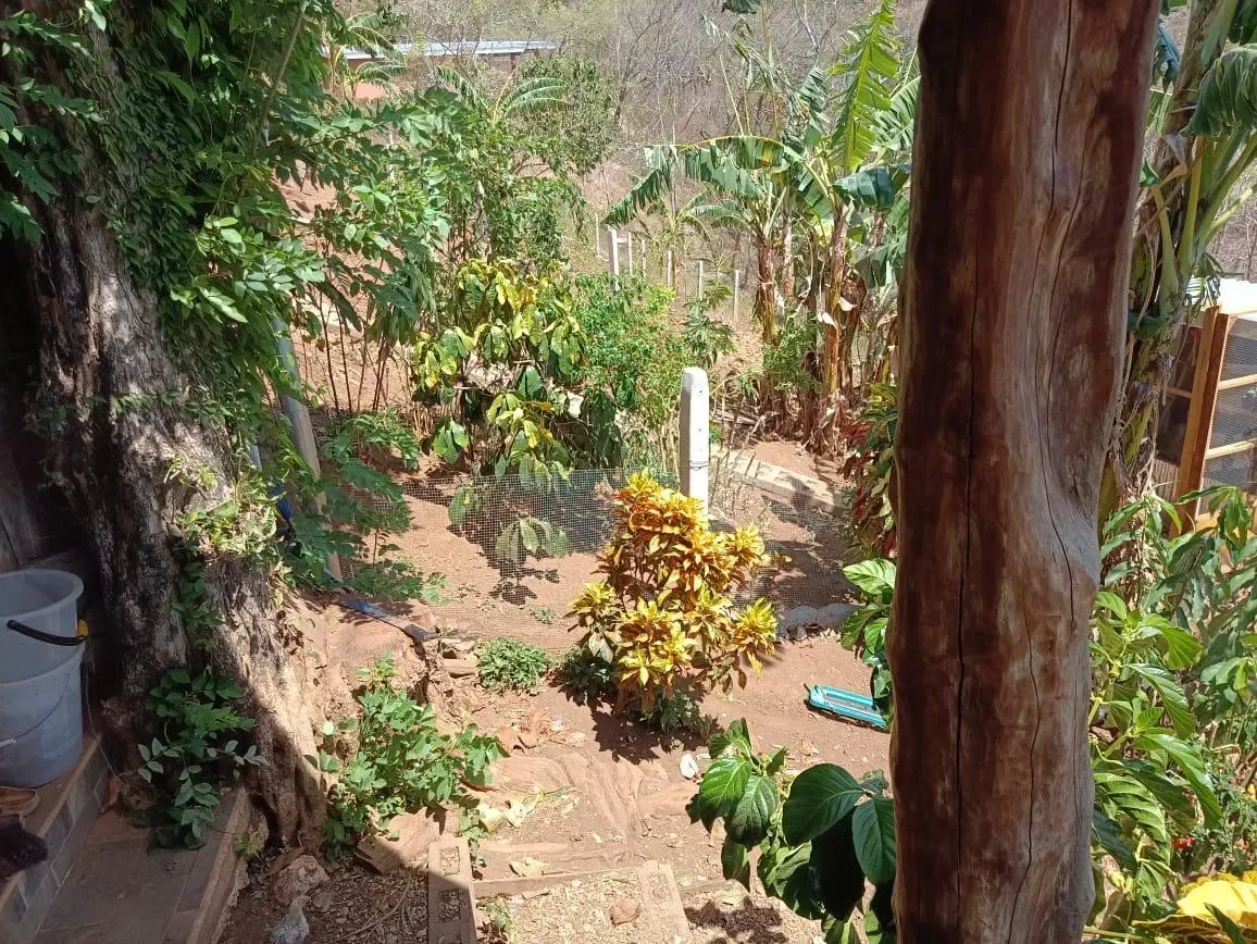 Finca Curcuma: Organic ocean view house built on a 2 hectares finca in San José de la Montaña photo 51