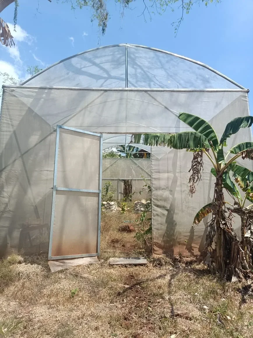 Finca Curcuma: Organic ocean view house built on a 2 hectares finca in San José de la Montaña photo 52