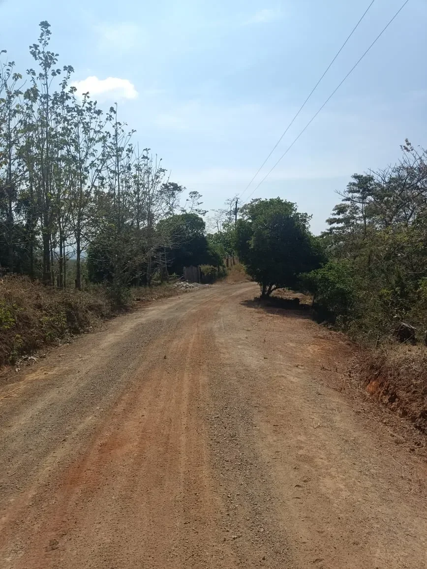 Finca Curcuma: Organic ocean view house built on a 2 hectares finca in San José de la Montaña photo 53