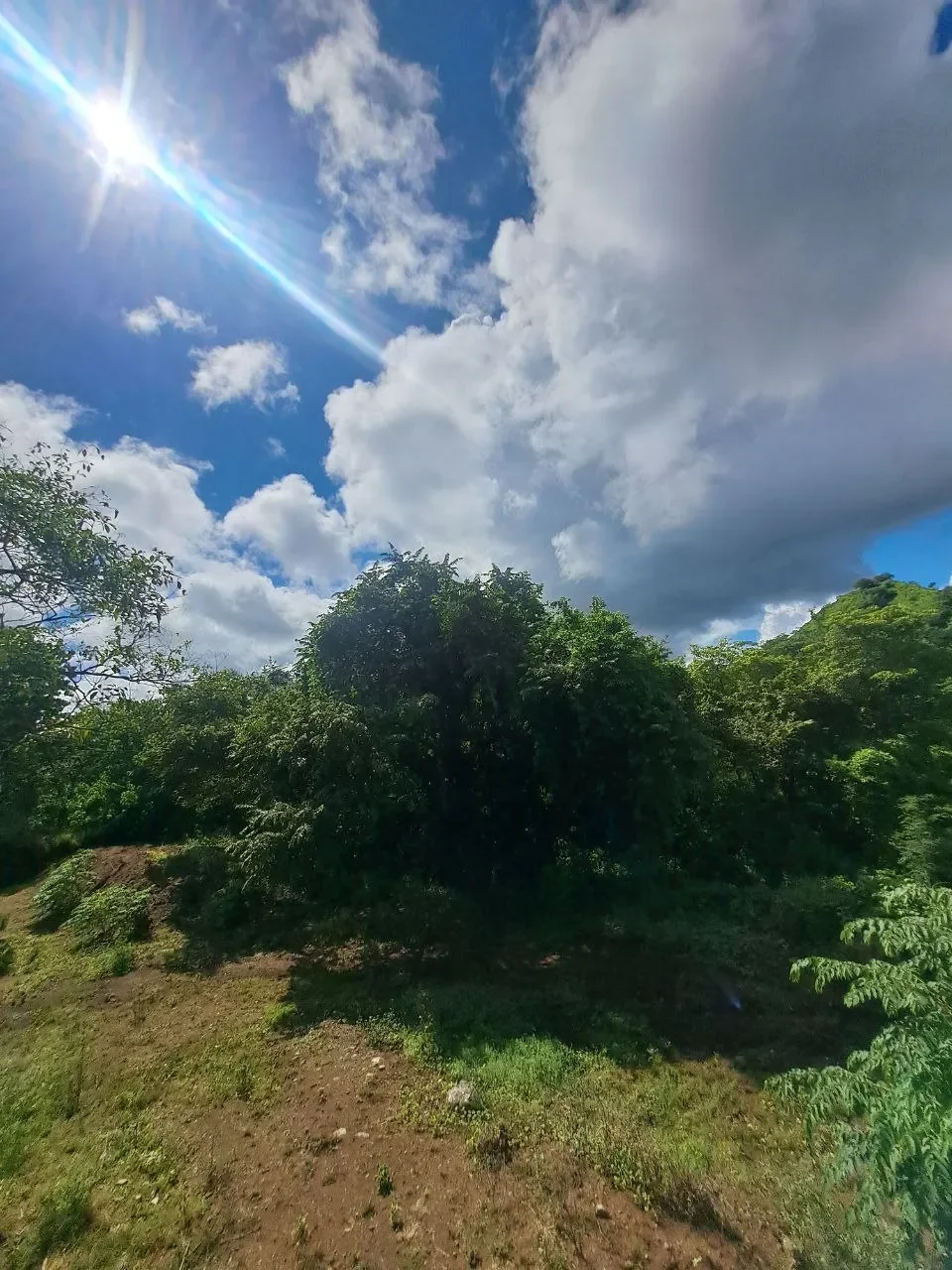 Exceptional 5,000 m² Lot for Sale in Tranquil Potrero – Just 5 Minutes from the Beach and Amenities photo 9