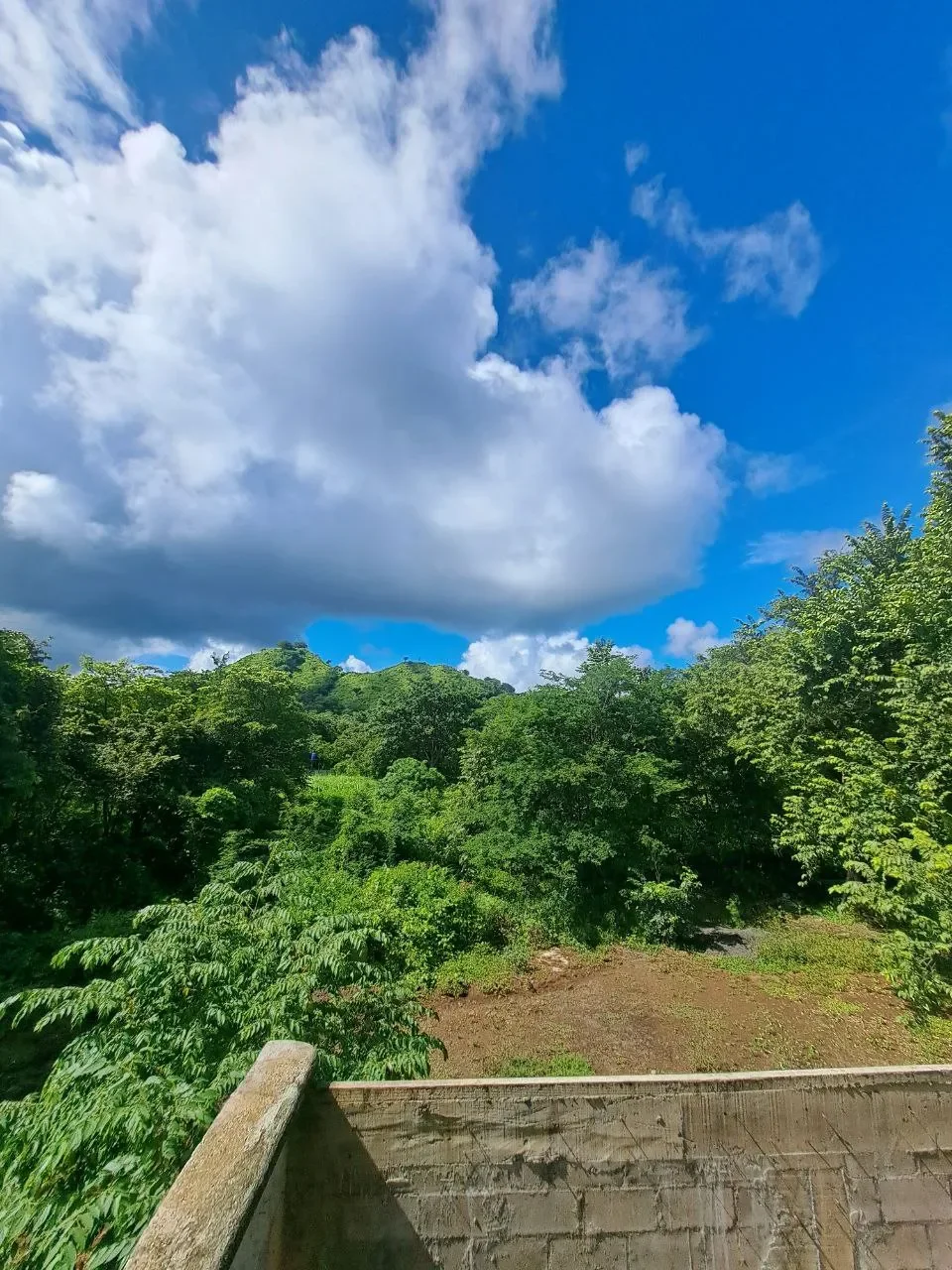 Exceptional 5,000 m² Lot for Sale in Tranquil Potrero – Just 5 Minutes from the Beach and Amenities photo 11