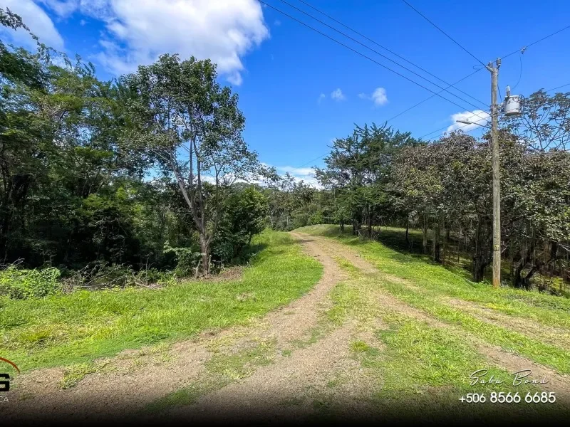 residential-5000-m2-lot-for-sale-in-gated-community-eco-development-playa-lagarto