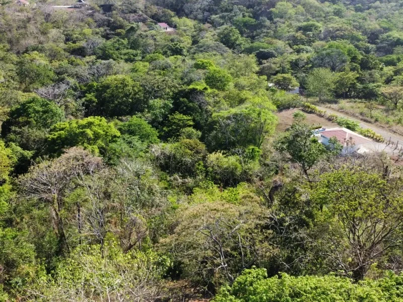 residential-6500-m2-lot-in-gated-community-eco-development-playa-lagarto