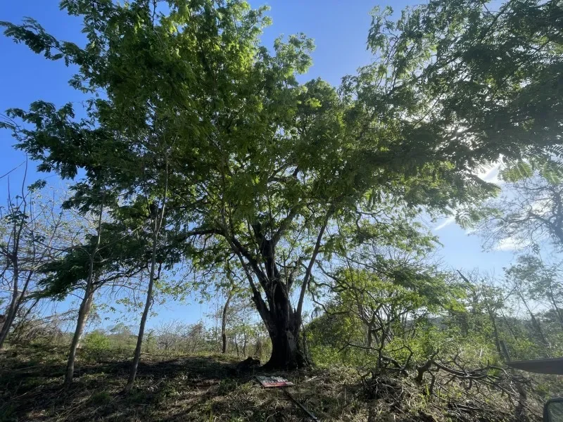 residential-6500-m2-lot-in-gated-community-eco-development-playa-lagarto