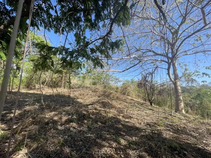 Residential 6500 m² lot in gated community  photo 7