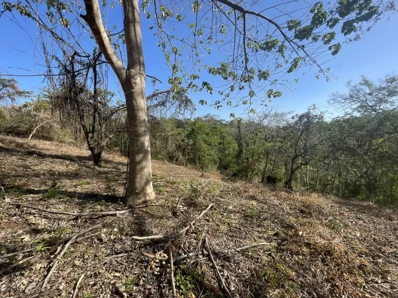 Residential 6500 m² lot in gated community  photo 8