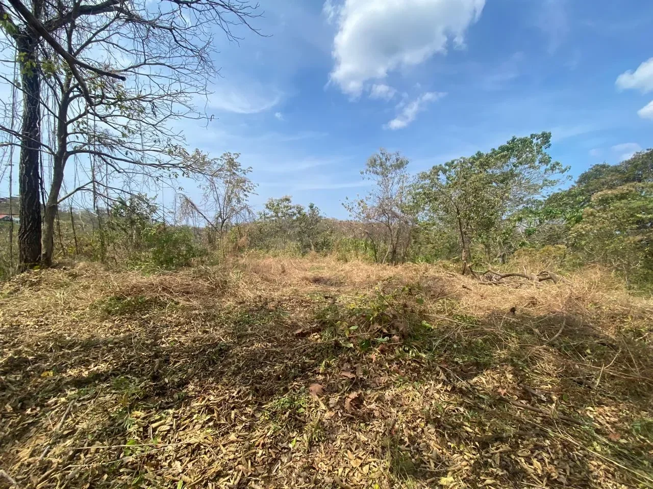 Lot B59: Residential 6500 m² lot in gated community “Eco Development” – Playa Lagarto photo 3