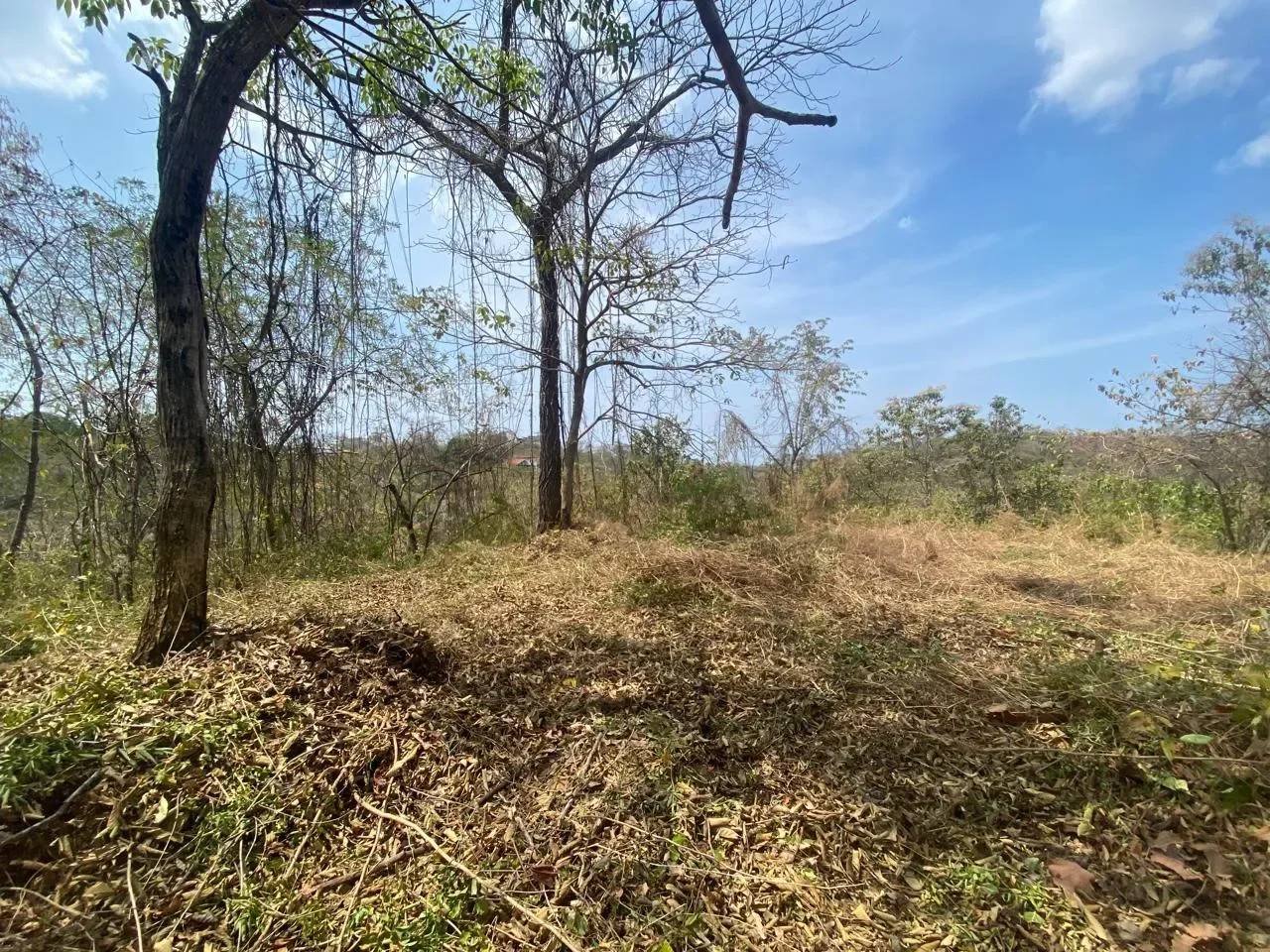 Lot B59: Residential 6500 m² lot in gated community “Eco Development” – Playa Lagarto photo 4