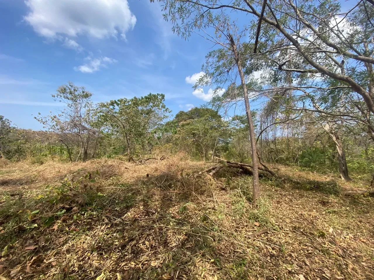 Lot B59: Residential 6500 m² lot in gated community “Eco Development” – Playa Lagarto photo 5