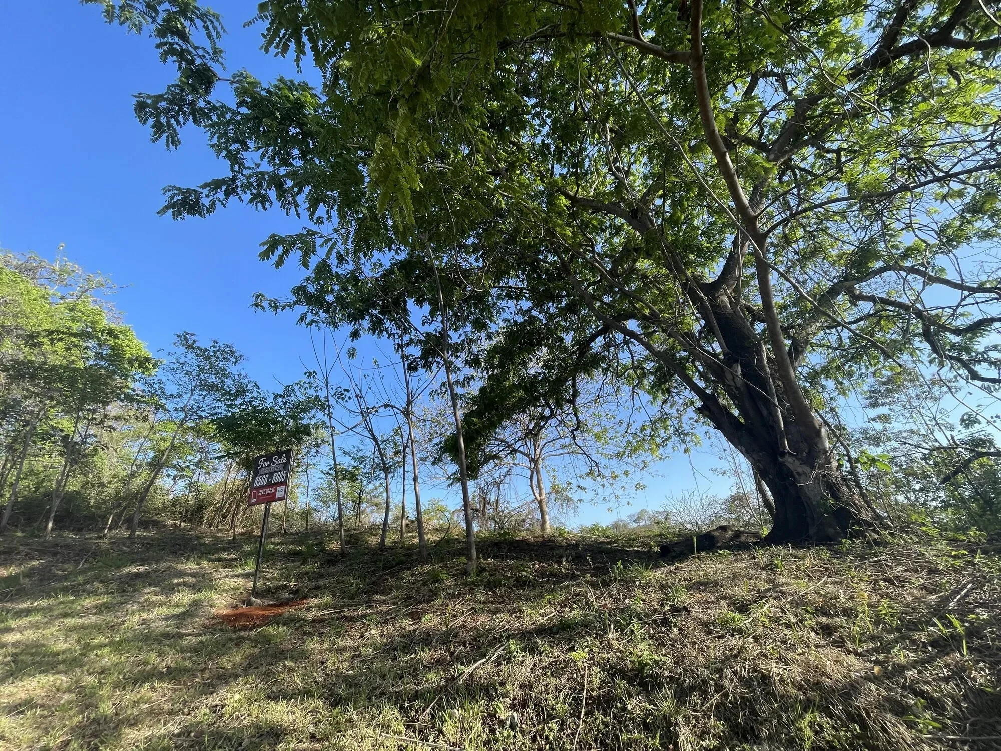 Lot B59: Residential 6500 m² lot in gated community “Eco Development” – Playa Lagarto photo 6