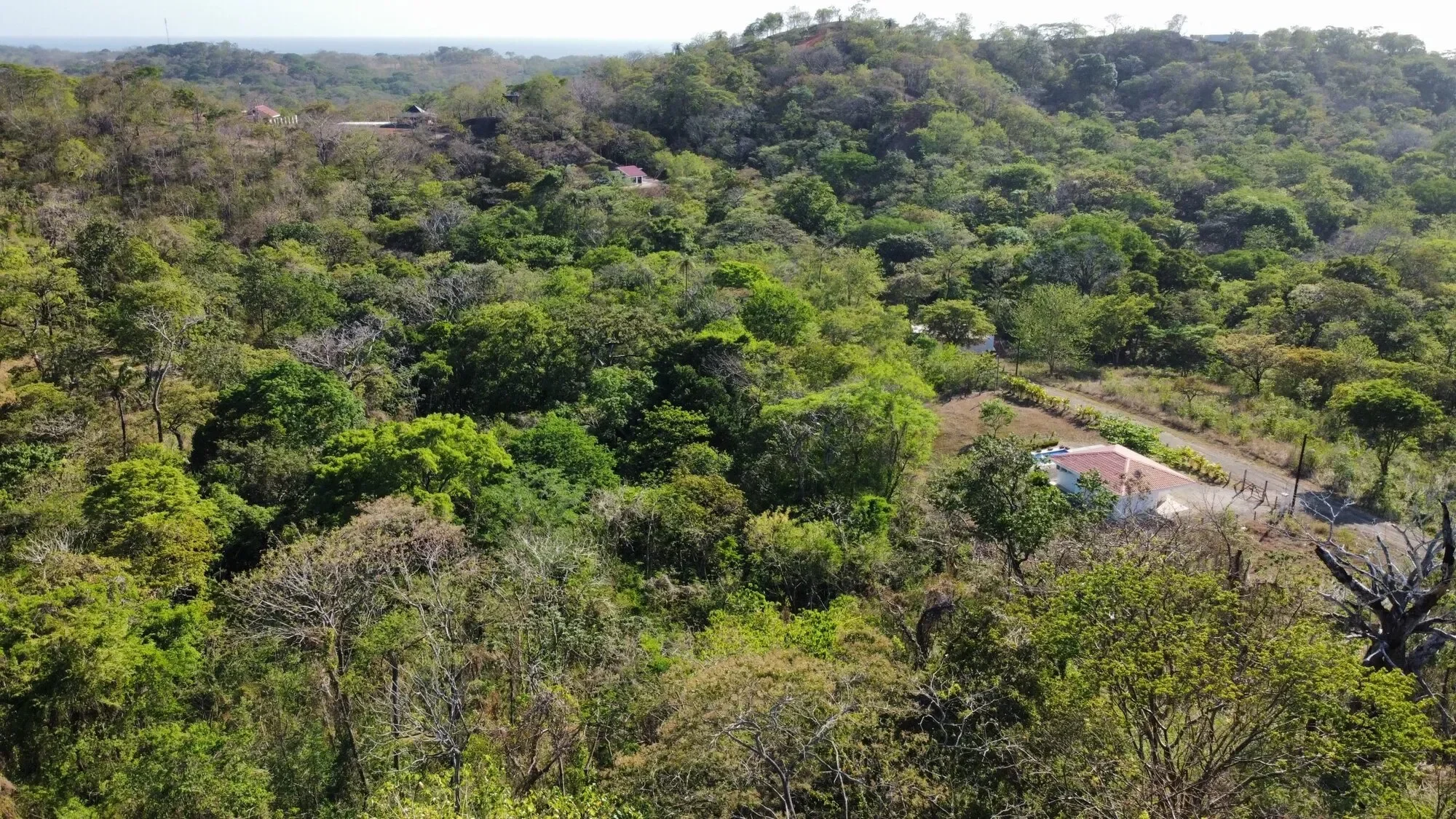 Lot B59: Residential 6500 m² lot in gated community “Eco Development” – Playa Lagarto photo 7