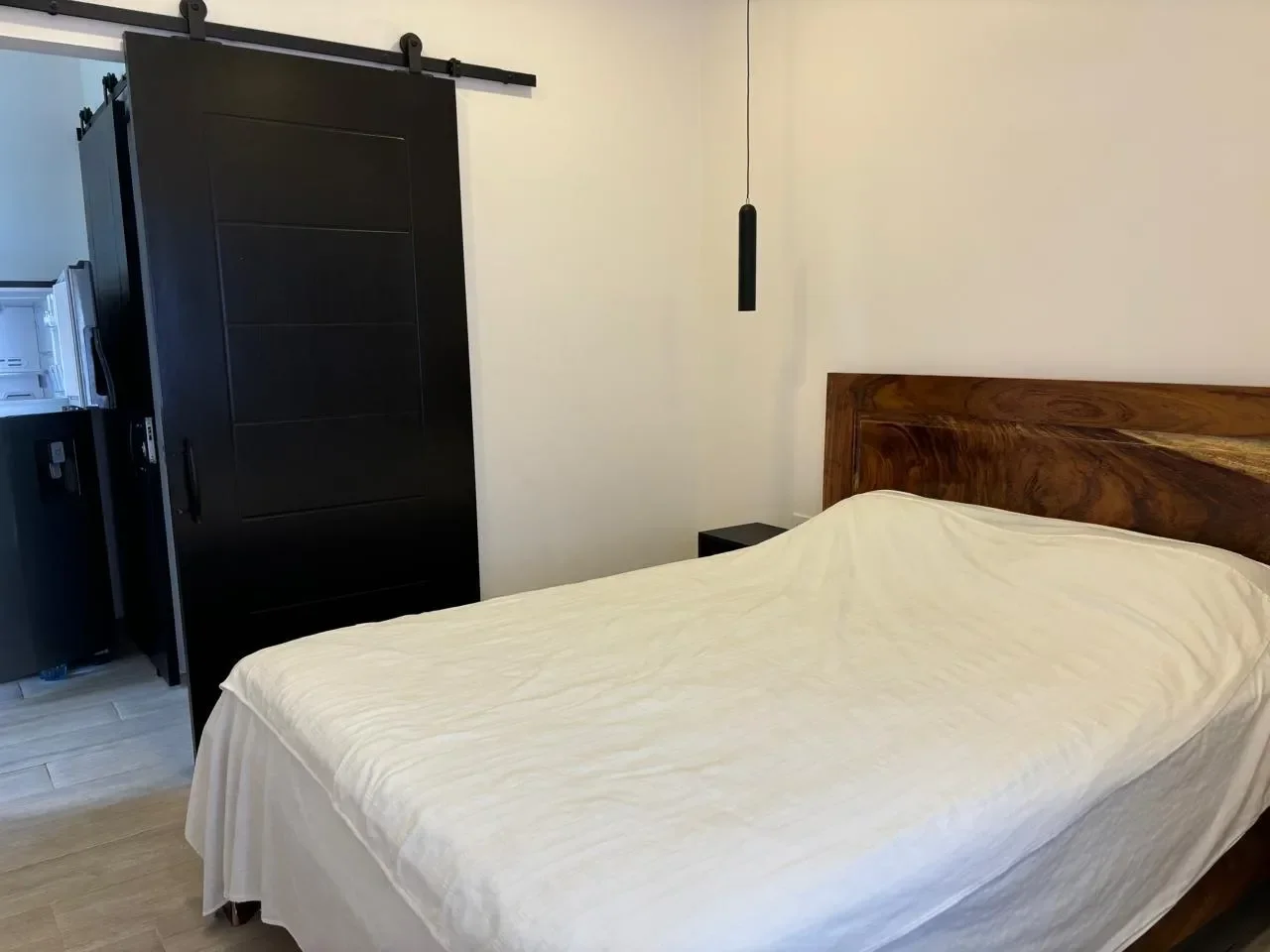 Spacious and Comfortable 1-Bedroom Apartment for Rent in Linderos, Tamarindo photo 10