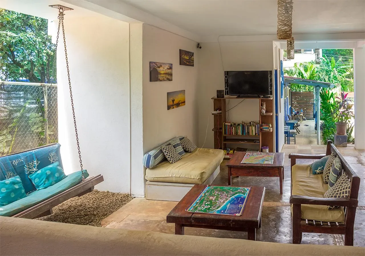  Botella de Leche Hostel: Highly profitable business in Playa Tamarindo photo 7