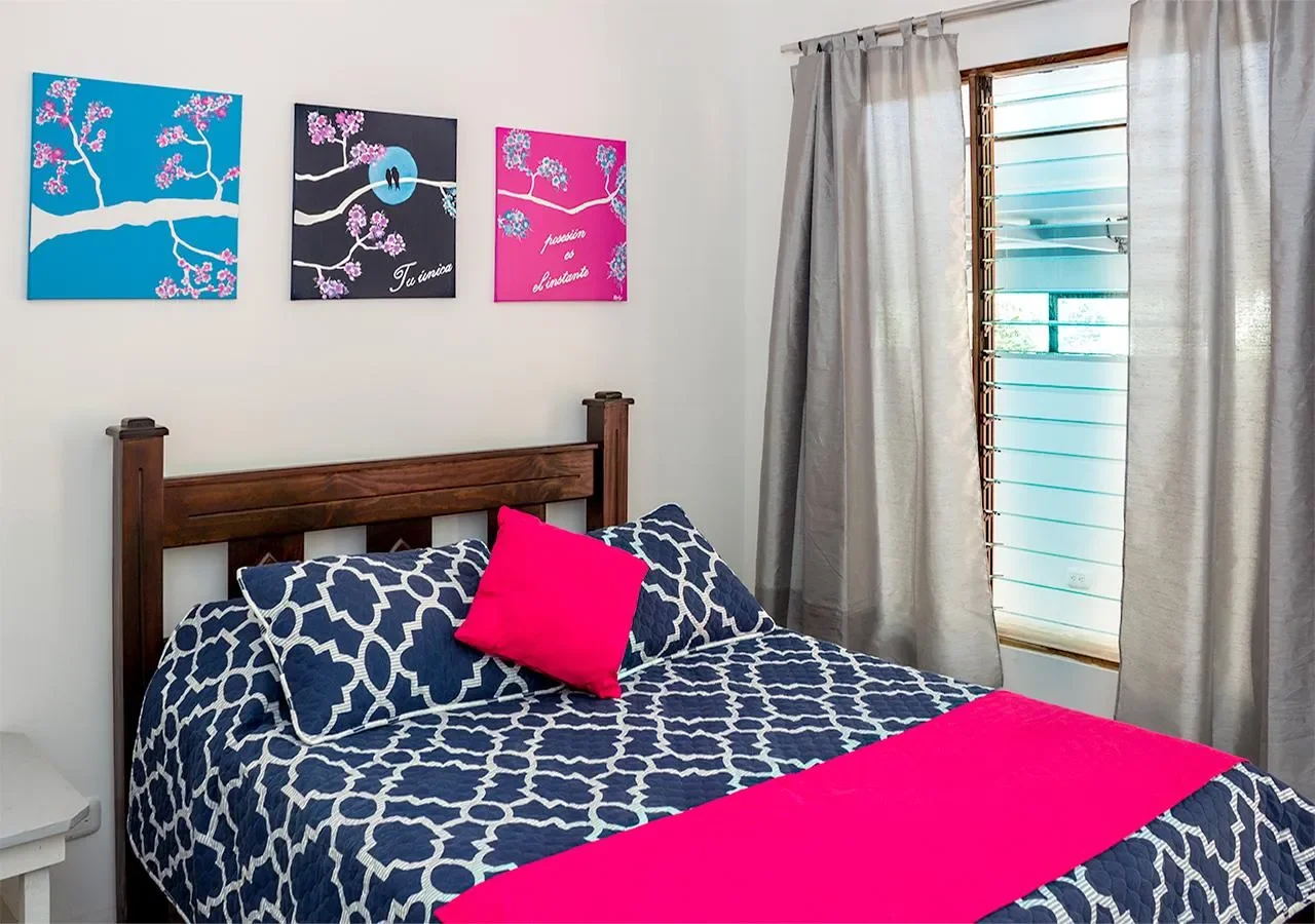  Botella de Leche Hostel: Highly profitable business in Playa Tamarindo photo 16