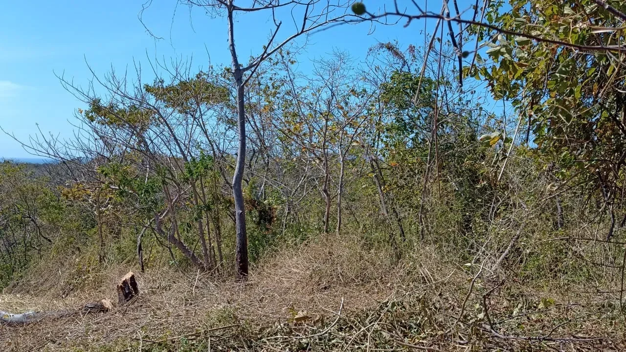 Lot C42: Unleash Your Costa Rican Dream: 5000m2 Lot with Partial Ocean Views in Eco Development Playa Lagarto