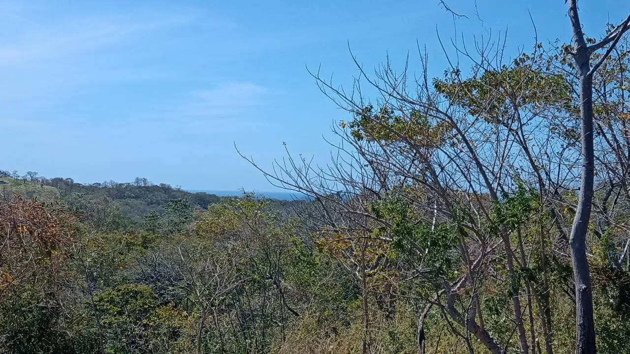 Lot C42: Unleash Your Costa Rican Dream: 5000m2 Lot with Partial Ocean Views in Eco Development Playa Lagarto