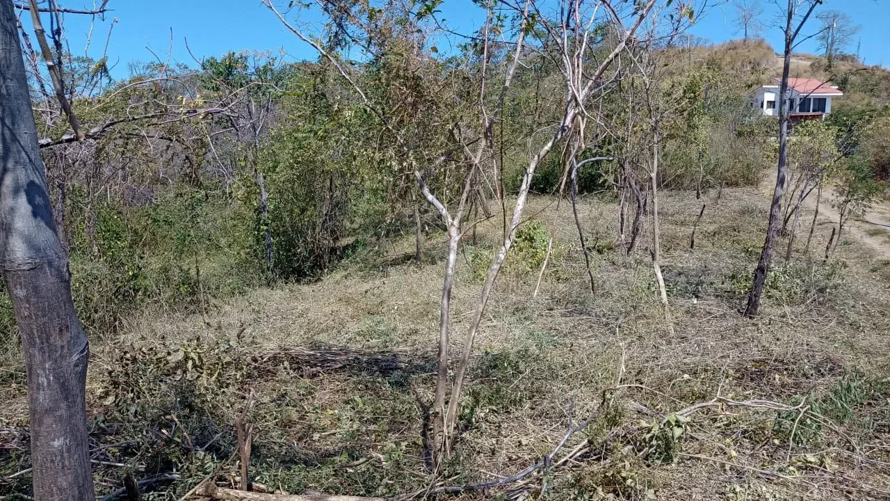 Lot C42: Unleash Your Costa Rican Dream: 5000m2 Lot with Partial Ocean Views in Eco Development Playa Lagarto