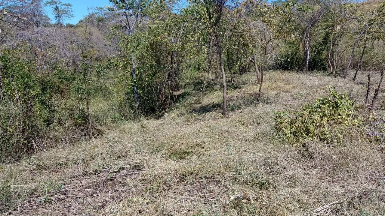 Lot C42: Unleash Your Costa Rican Dream: 5000m2 Lot with Partial Ocean Views in Eco Development Playa Lagarto