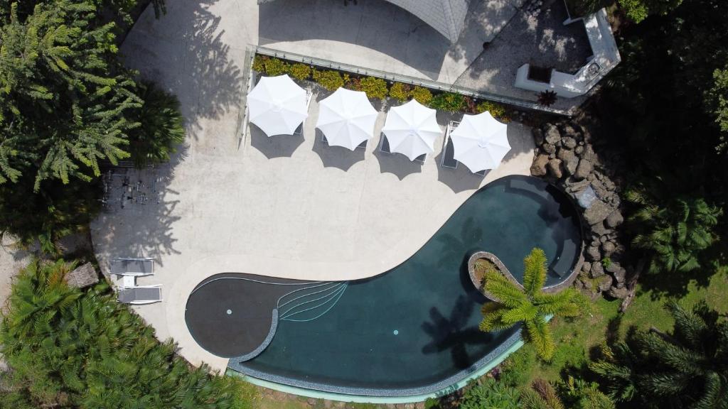 Infinity Pool